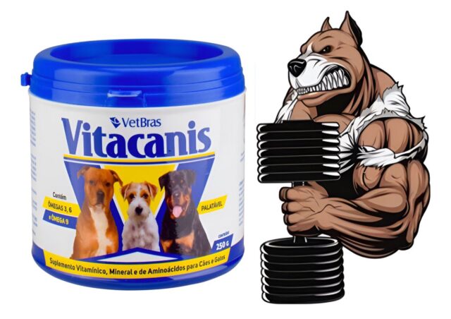 VITACANIS SUPLEM P/CAES/GATOS 250G VETBRAS PET - Imagem 2