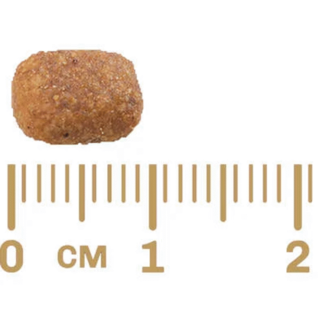 RAÇÃO GRAN PLUS MENU GATOS ADULTO CARNE E ARROZ GRANEL - Imagem 2