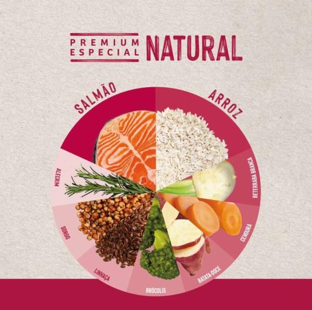 RAÇÃO QUATREE LIFE GATOS ADULTOS SABOR SALMÃO E ARROZ 1KG - Imagem 3
