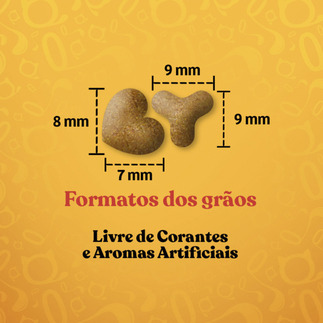RAÇÃO QUATREE GOURMET PARA GATOS ADULTOS SABOR CARNE 1KG - Imagem 3